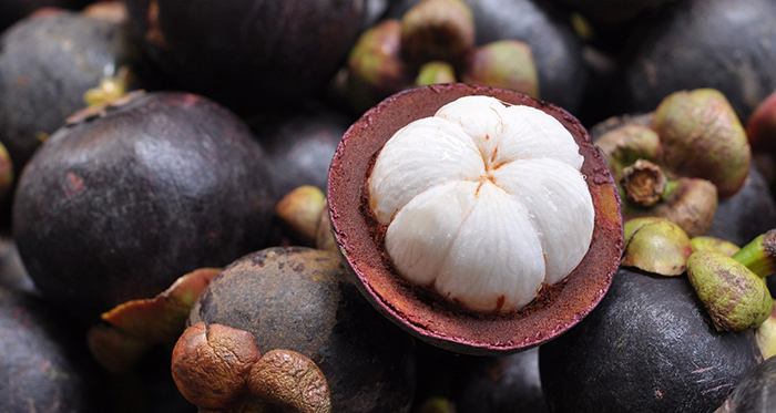 Mangosteen