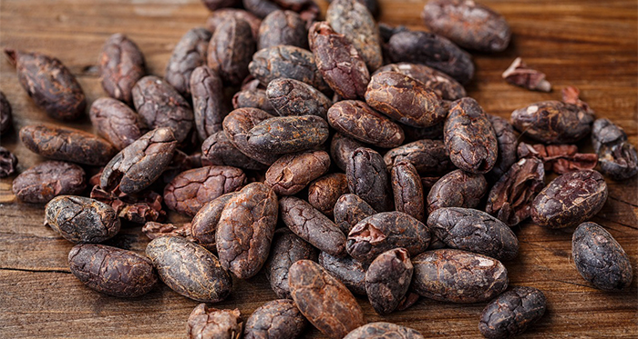 Cocoa Beans