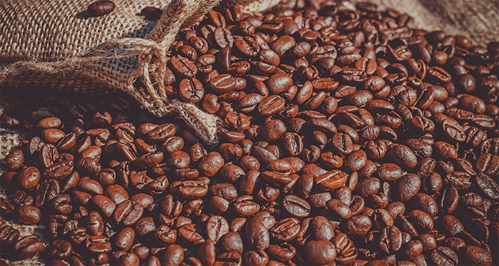 Bali Robusta Coffee Beans