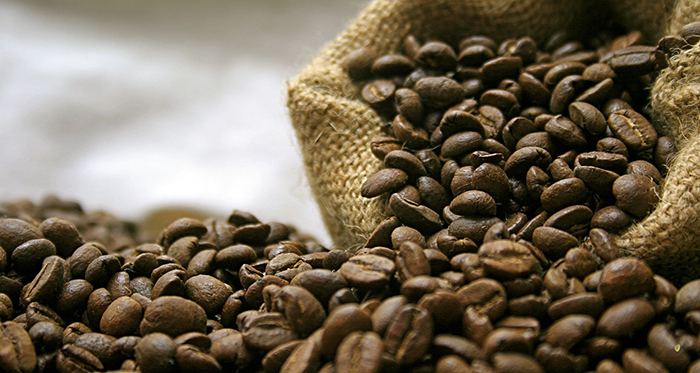 Kintamani Arabica Coffee Beans