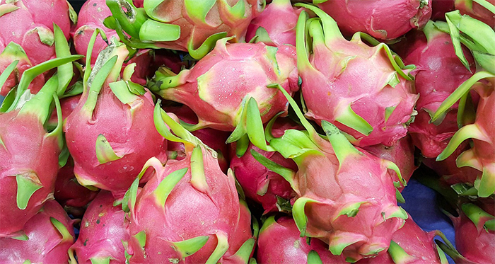 Dragon Fruit